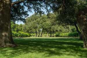 5000 Cralle Rd (15)