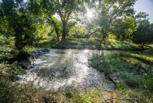 5000 Cralle Rd (32)