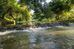 5000 Cralle Rd (33)