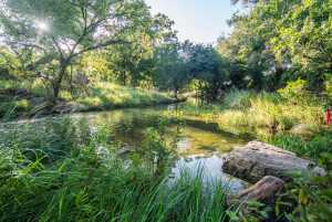 5000 Cralle Rd (34)