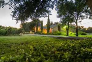 5000 Cralle Rd (38)