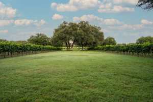 5000 Cralle Rd (7)