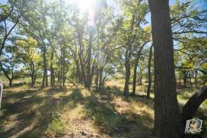 16033 Door Key Rd (13)