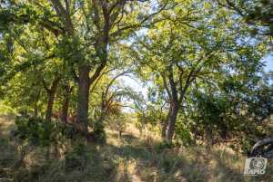 16033 Door Key Rd (14)