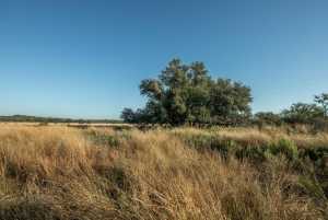 - County Rd 208