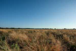 - County Rd 208 (19)