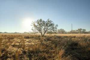 - County Rd 208 (22)