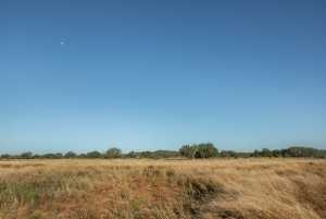 - County Rd 208 (43)