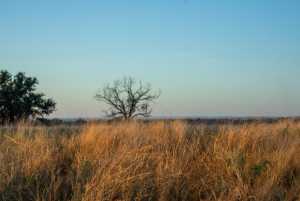 - County Rd 208 (7)