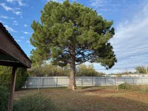 10094 Cottontail Lane (2)