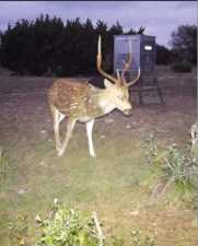 3420 NE County Rd 2596 (55)