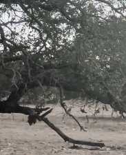 3420 NE County Rd 2596 (56)