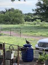 3420 NE County Rd 2596 (61)