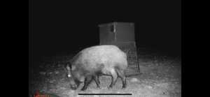 3420 NE County Rd 2596 (2)