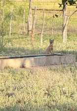 3420 NE County Rd 2596 (91)