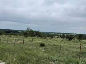 3420 NE County Rd 2596 (12)