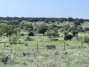 3420 NE County Rd 2596 (13)