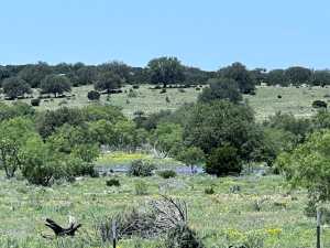 3420 NE County Rd 2596 (14)