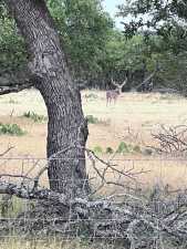 3420 NE County Rd 2596 (59)