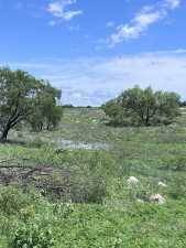 3420 NE County Rd 2596 (64)