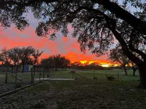 3420 NE County Rd 2596 (18)