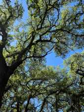 3420 NE County Rd 2596 (58)