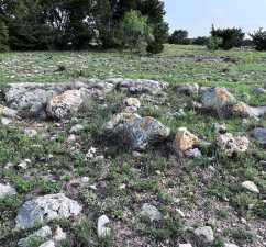 3420 NE County Rd 2596 (50)