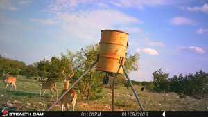 3420 NE County Rd 2596 (4)