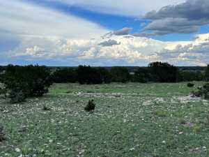 3420 NE County Rd 2596 (22)