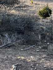 3420 NE County Rd 2596 (57)