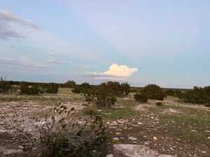 3420 NE County Rd 2596 (24)