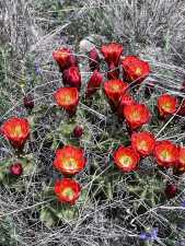 3420 NE County Rd 2596 (72)