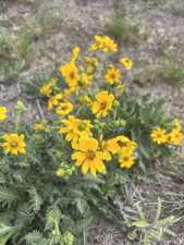 3420 NE County Rd 2596 (73)