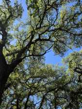 3420 NE County Rd 2596 (74)