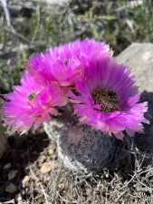 3420 NE County Rd 2596 (75)