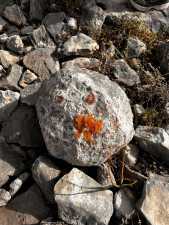 3420 NE County Rd 2596 (76)