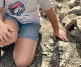 3420 NE County Rd 2596 (49)