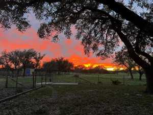 3420 NE County Rd 2596 (39)