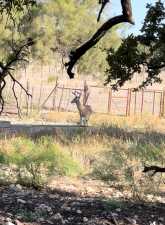 3420 NE County Rd 2596 (90)