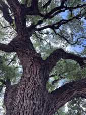 3420 NE County Rd 2596 (84)