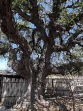 3420 NE County Rd 2596 (85)