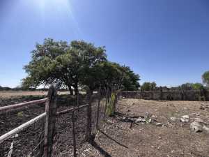 3420 NE County Rd 2596 (45)