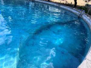 3420 NE County Rd 2596 (46)