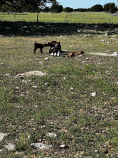 3420 NE County Rd 2596 (89)