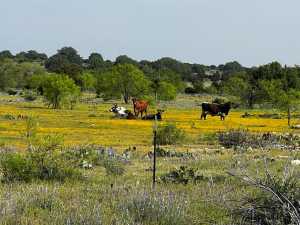 3420 NE County Rd 2596 (48)