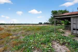 37 County Rd 134 (6)