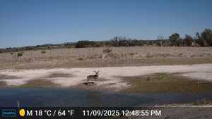 37 County Rd 134 (2)