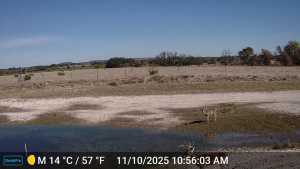 37 County Rd 134 (3)