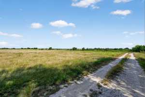 37 County Rd 134 (22)