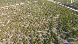 12005 Choctaw Ridge (12)